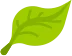 icon-leaf
