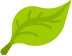icon-leaf
